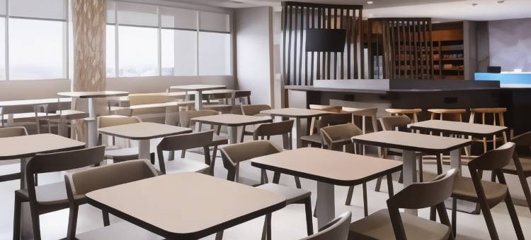 圣安东尼奥西北里姆SpringHill Suites酒店(SpringHill Suites San Antonio Northwest at the Rim)图片