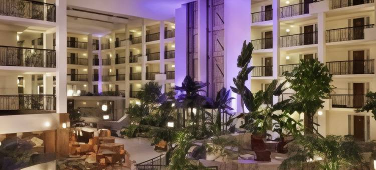 皮斯卡塔韦萨默塞特希尔顿安泊酒店(Embassy Suites by Hilton Piscataway Somerset)图片