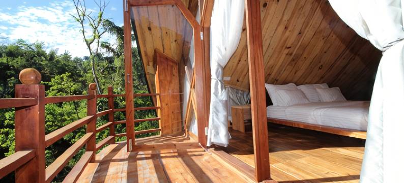 帕迪生态小屋酒店(Padi Ecolodge)图片