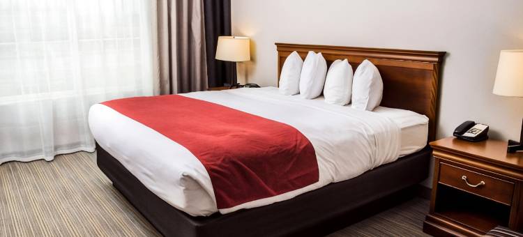 温彻斯特丽怡酒店(Country Inn & Suites by Radisson, Winchester, VA)图片