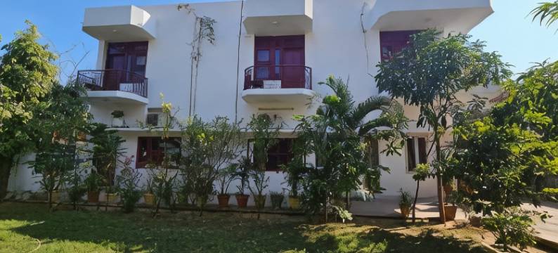 Falcon Guest House图片