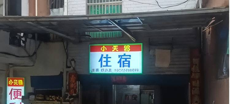 小天鹅住宿图片