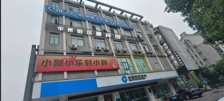 中州铂尔曼宾馆(六安舒城县九溪江南店)图片
