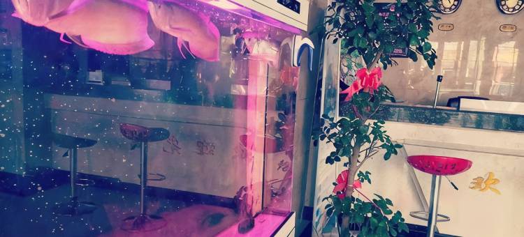 西吉鑫鸿宾馆图片