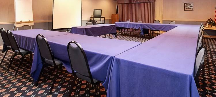 特雷霍特大学区舒适套房酒店(Comfort Suites Terre Haute University Area)图片