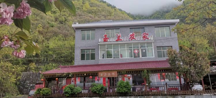 柞水玉兰农家图片