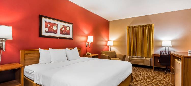 切斯特菲尔德村凯艺套房酒店(Quality Inn & Suites Chesterfield Village)图片