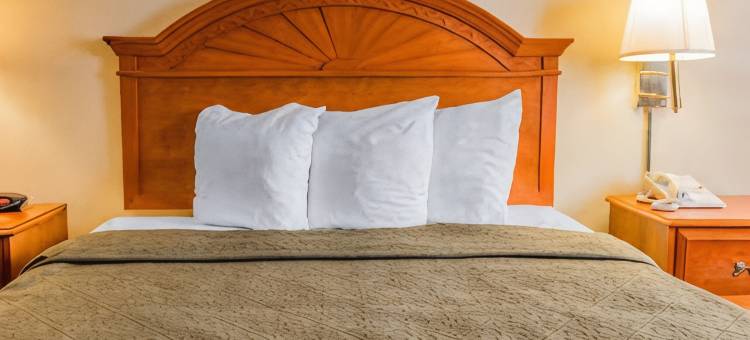 大急流城北凯艺酒店(Quality Inn Grand Rapids North)图片