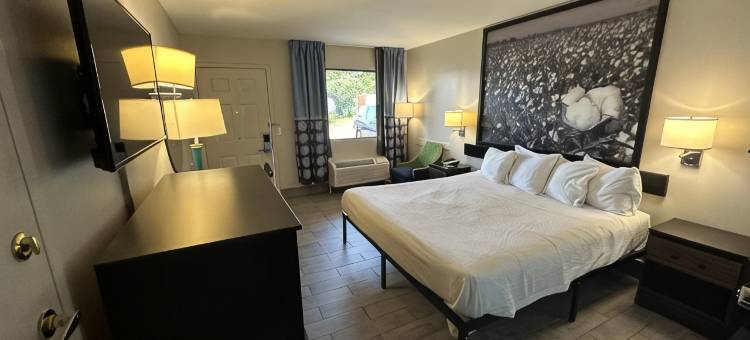欧申斯普林斯拜洛希速8酒店(Super 8 by Wyndham Ocean Springs Biloxi)图片