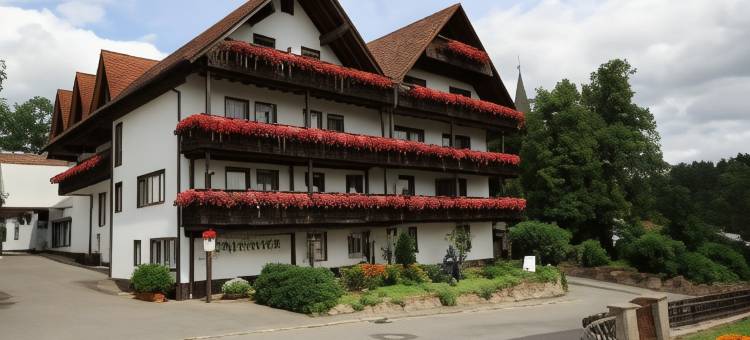 沃尔德布里克酒店(Waldblick BSR Hotel Restaurant)图片