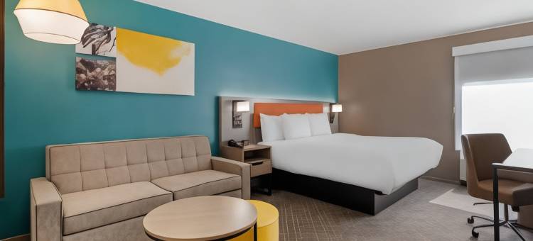克莱门森舒适套房酒店-大学区(Comfort Inn & Suites Clemson - University Area)图片