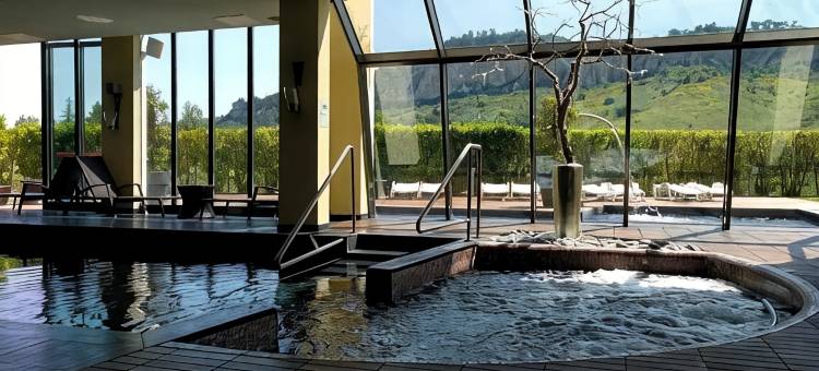 瑞吉丝健康度假酒店(Regis Resort & Wellness)图片
