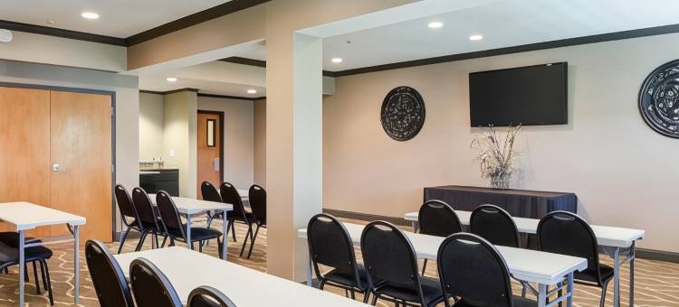 舒适套房酒店(Comfort Suites- Near University)图片