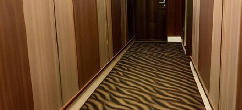 桃园宾士旅馆图片