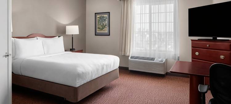 云杉登陆长住套房酒店贝尔维尤(Larkspur Landing Extended Stay Suites Bellevue)图片