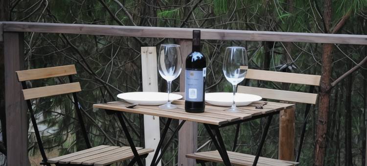 皮德拉阿尔塔小木屋(Chalets Piedra Alta)图片