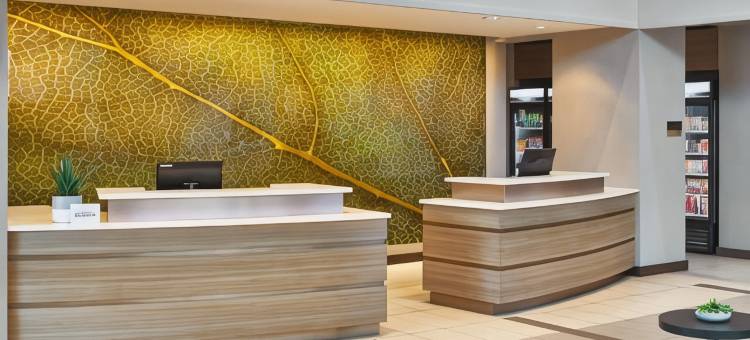 丹坞地/亚特兰大佩里米特中心居家酒店(Residence Inn Atlanta Perimeter Center/Dunwoody)图片