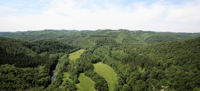 热梅尔宾馆(Gasthaus Pension Geimer)图片