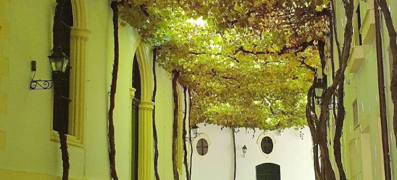 酒窖堤欧佩佩酒店(Hotel Bodega Tio Pepe)图片