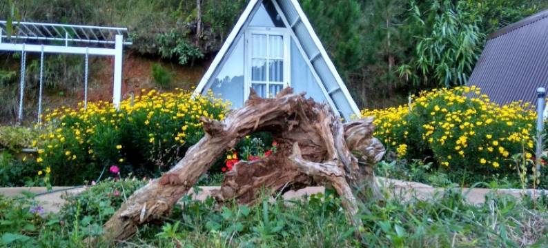 雪化洪波平房酒店(Tuyet Hoa Hon Bo Bungalow)图片