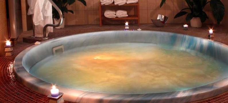 锡比乌阿娜塔金色郁金香酒店(Golden Tulip Ana Tower Sibiu)图片