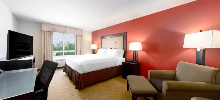 Holiday Inn 寺贝尔顿(Holiday Inn Temple-Belton)图片