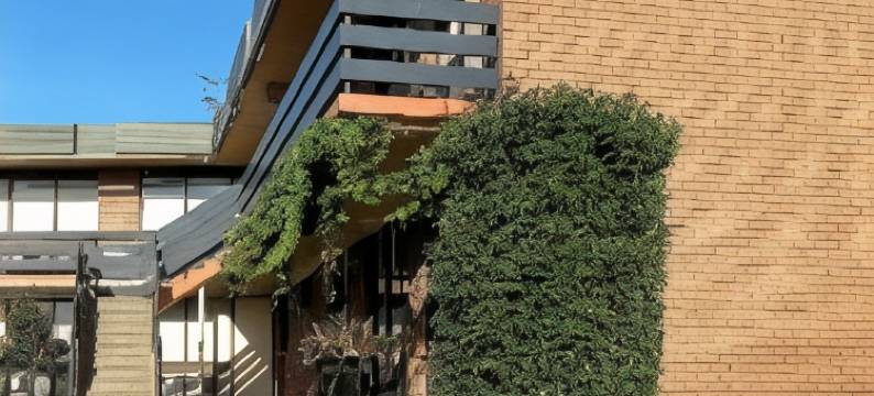 塞斯诺克温提芝汽车旅馆(Cessnock Vintage Motor Inn)图片