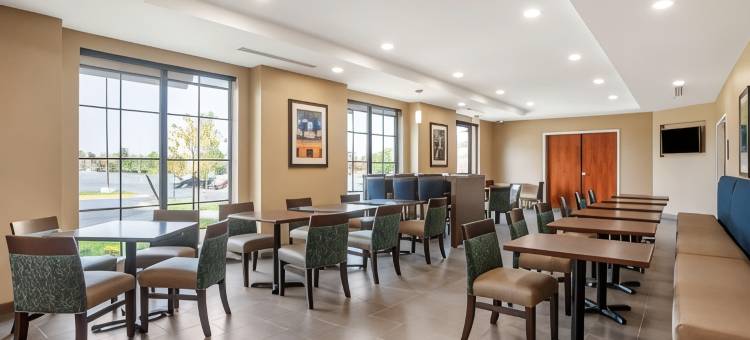 舒适套房酒店(Comfort Inn & Suites)图片