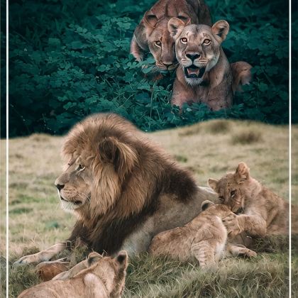 肯尼亚10日9晚私家团