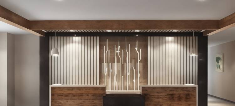 杰克逊希尔顿花园酒店(Hilton Garden Inn Jackson)图片