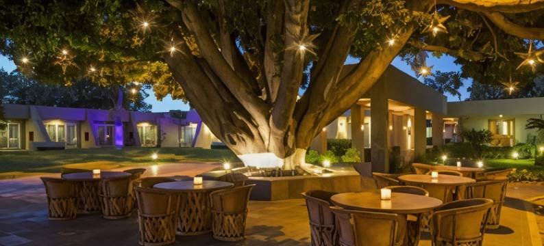 瓜达拉哈拉卡米诺里尔酒店(Camino Real Guadalajara)图片