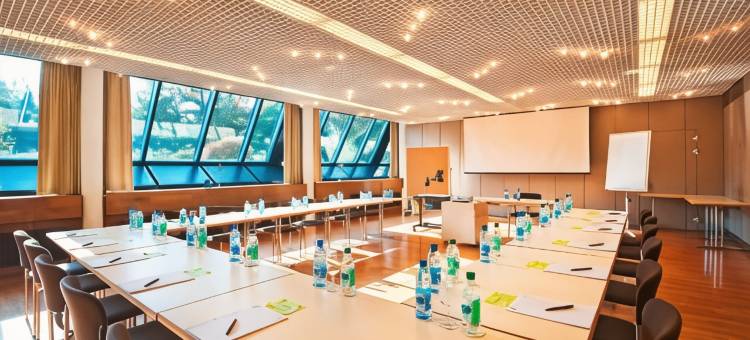 巴德组尔萨克公园酒店(Dorint Parkhotel Bad Zurzach)图片