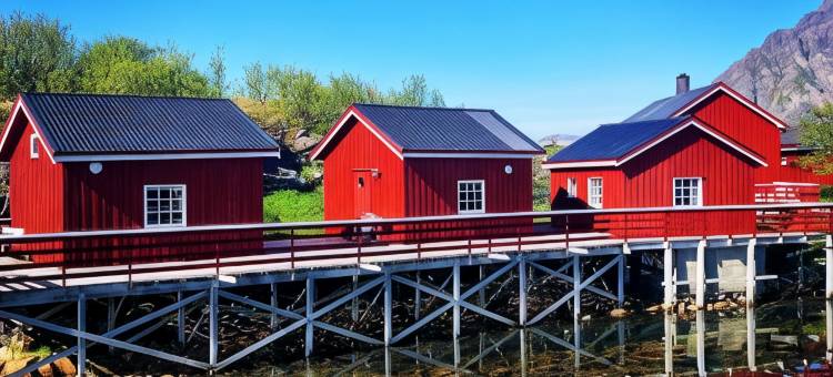 哼宁斯维罗布尔酒店(Henningsvær Rorbuer)图片