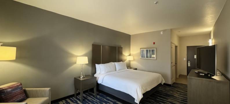 IHG加纳酒店朗维尤南(Garner Hotel Longview South by IHG)图片