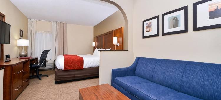 舒适套房酒店-大学科研园(Comfort Suites University - Research Park)图片