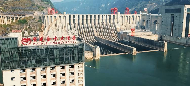 紫光金水大酒店图片