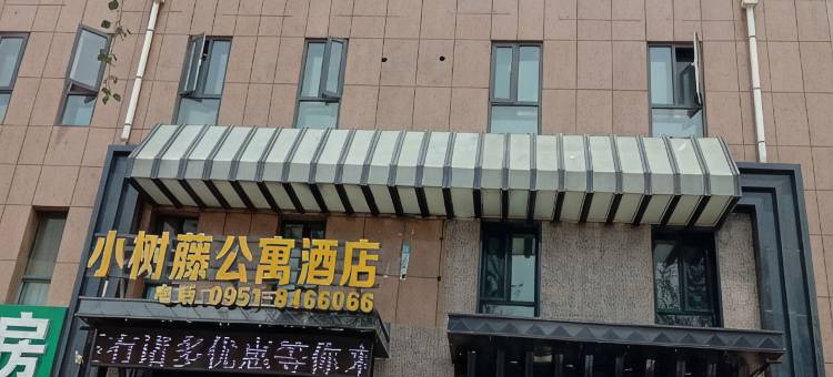 永宁小树藤公寓图片