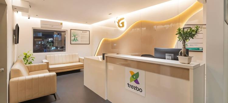 Treebo Global Orchid图片