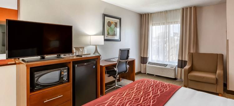 格林斯伯勒克纳斯维尔舒适酒店(Comfort Inn Greensboro - Kernersville)图片