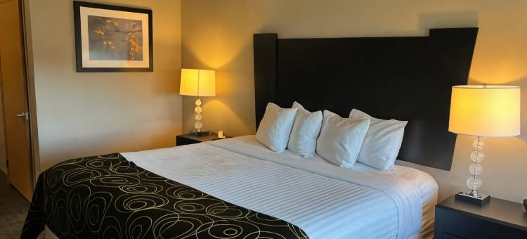奥科博吉套房酒店(Okoboji Inn & Suites)图片