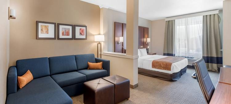 丹佛国际机场舒适套房酒店(Comfort Suites Denver International Airport)图片