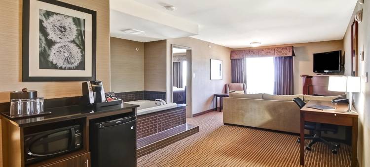 阿西尼波亚卡纳尔塔酒店(Canalta Hotel Assiniboia)图片