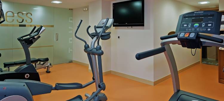 阿尔贝辛炜森酒店(Vincci Albayzin)图片