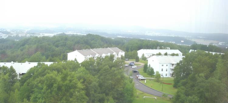 威尔克斯-巴里假日酒店(Holiday Inn Wilkes Barre - East Mountain)图片