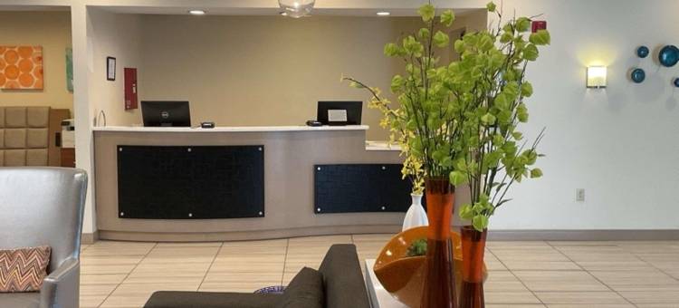 Best Western Erie Inn  Suites图片