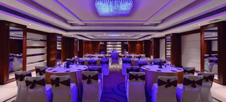 洛茲广场酒店(Lords Plaza Jaipur)图片