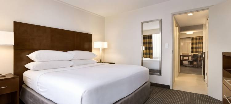 巴尔的摩华盛顿国际机场希尔顿大使套房酒店(Embassy Suites by Hilton Baltimore at BWI Airport)图片