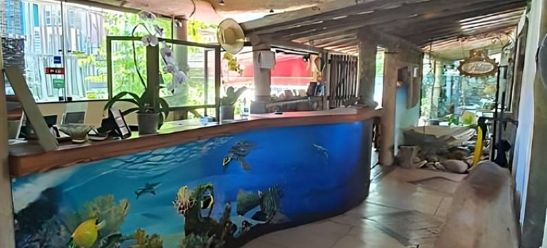 匹拉尔旅馆(Pousada Pilar)图片