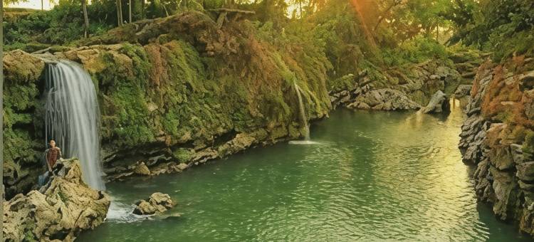 纽奥尔琳德斯旅馆(The New Orlinds Guest House)图片