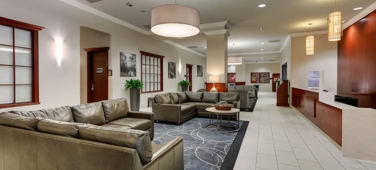 圣路易斯森林公园希尔顿逸林酒店(DoubleTree by Hilton St. Louis Forest Park)图片